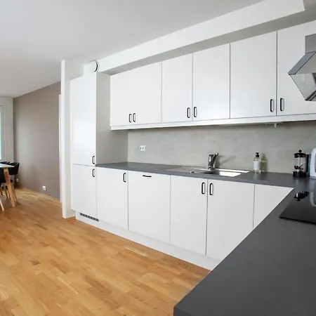 Modern 3Br Downtown Apt, Free Parking, High Standard Alesund Exterior photo
