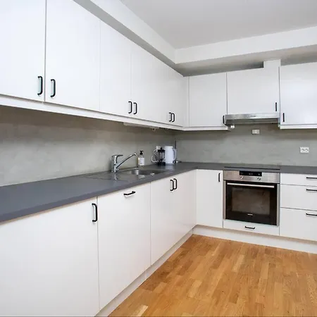 Modern 3Br Downtown Apt, Free Parking, High Standard Alesund Exterior photo