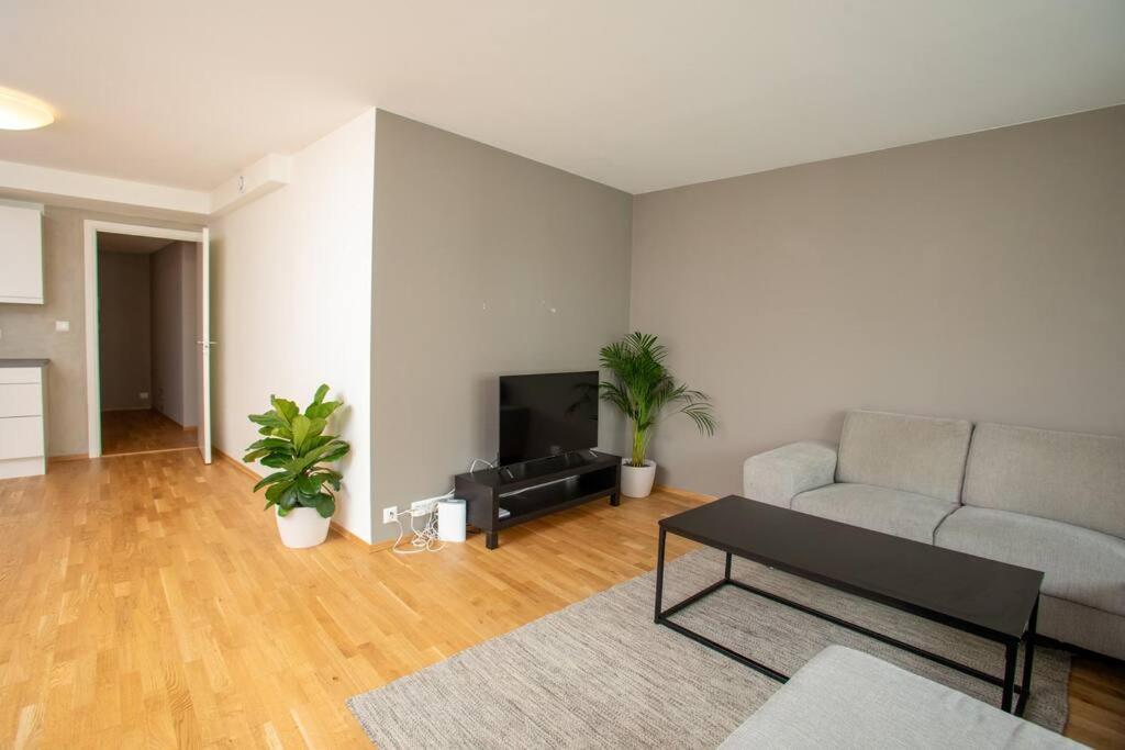 Modern 3br Downtown Apt, Free Parking, High Standard Apartment