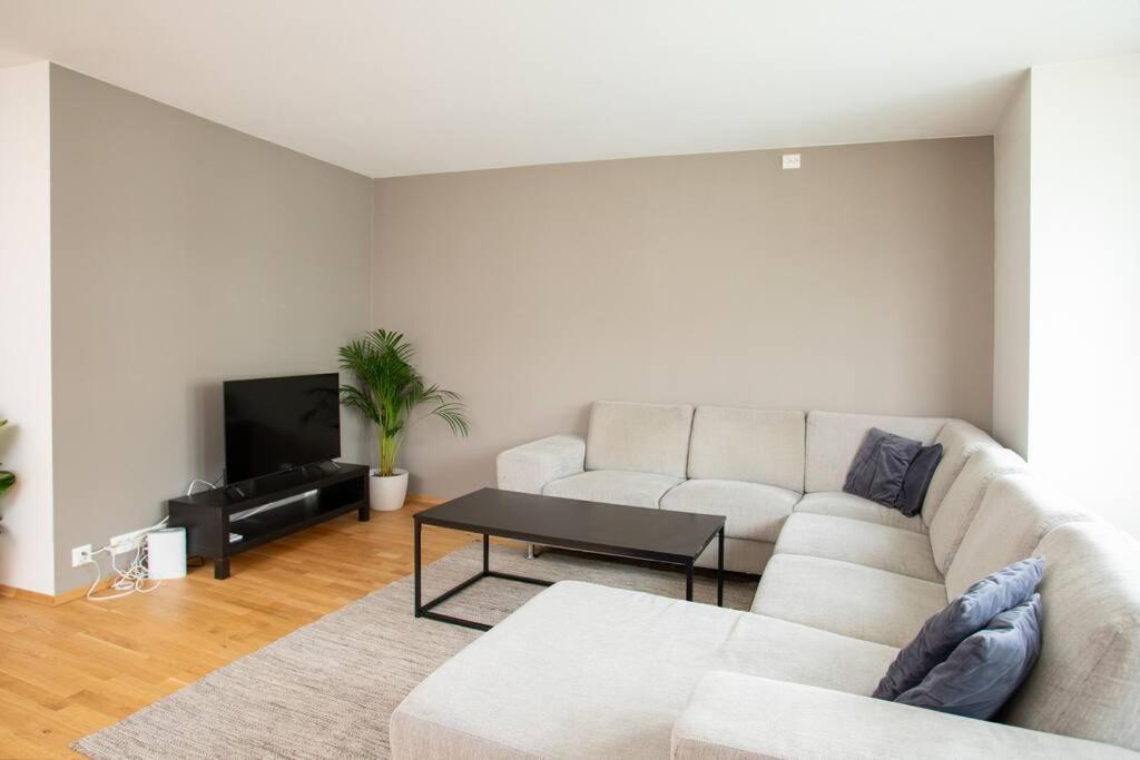 Modern 3br Downtown Apt, Free Parking, High Standard *