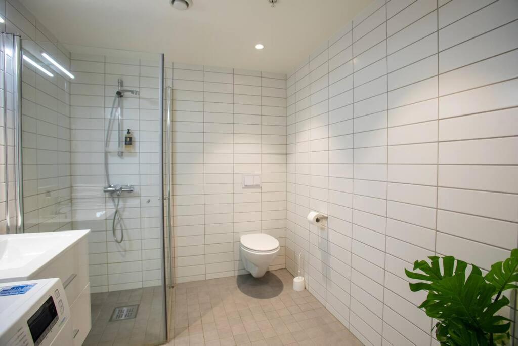 Modern 3br Downtown Apt, Free Parking, High Standard Apartment *