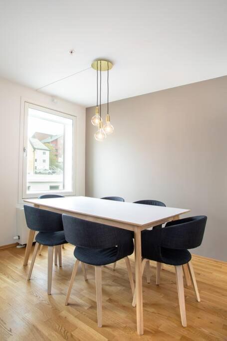 Modern 3br Downtown Apt, Free Parking, High Standard